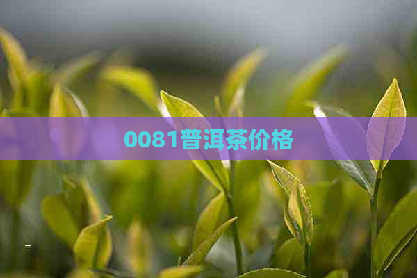 0081普洱茶价格