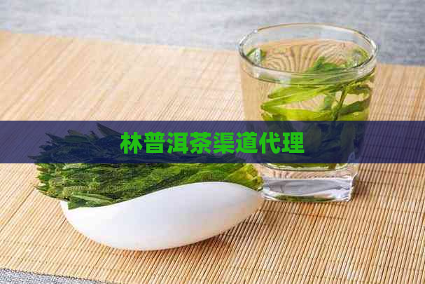 林普洱茶渠道代理