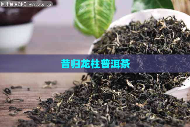 昔归龙柱普洱茶