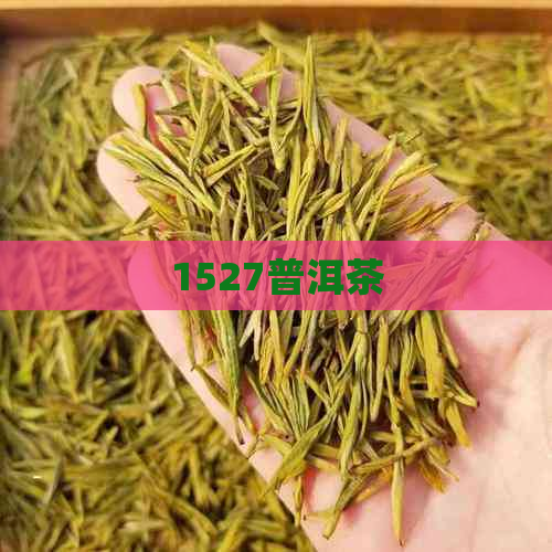 1527普洱茶