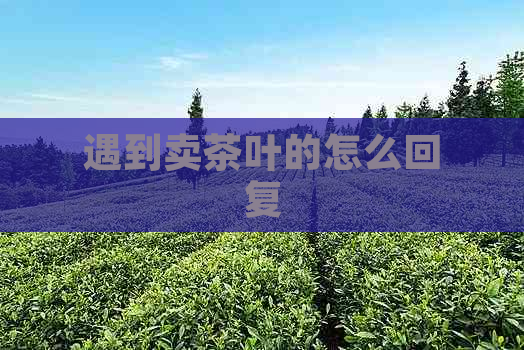 遇到卖茶叶的怎么回复