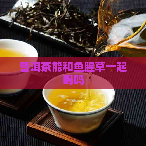 普洱茶能和鱼腥草一起喝吗