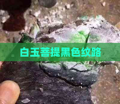 白玉菩提黑色纹路