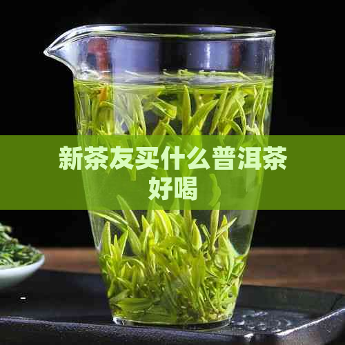 新茶友买什么普洱茶好喝