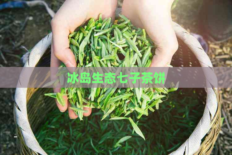 冰岛生态七子茶饼