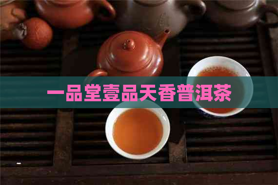 一品堂壹品天香普洱茶