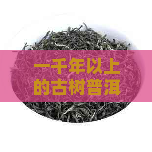 一千年以上的古树普洱茶有哪些