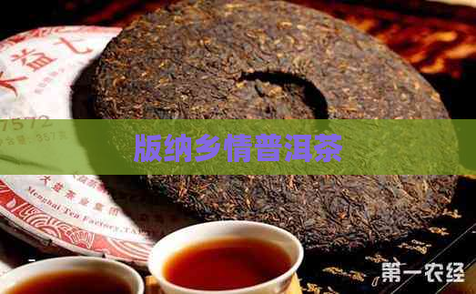 版纳乡情普洱茶