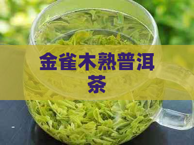 金雀木熟普洱茶