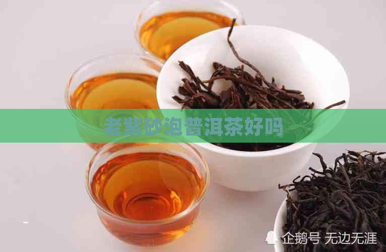 老紫砂泡普洱茶好吗