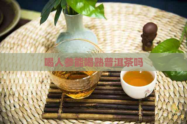 喝人参能喝熟普洱茶吗