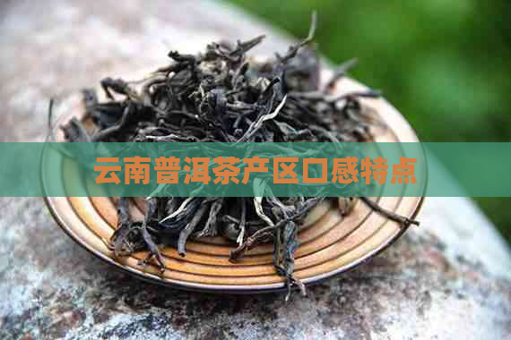 云南普洱茶产区口感特点