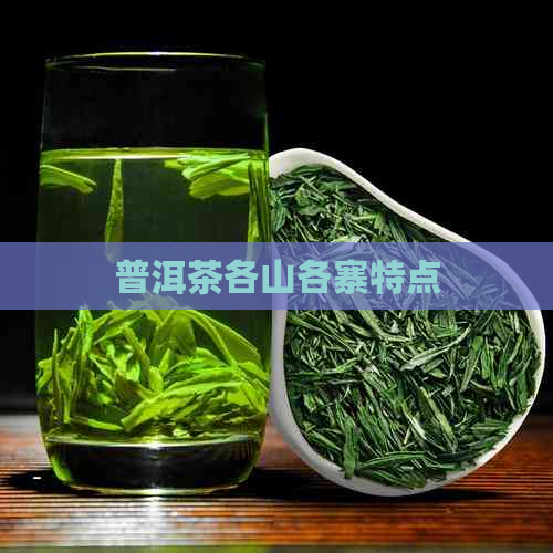 普洱茶各山各寨特点