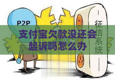 支付宝欠款没还会起诉吗怎么办