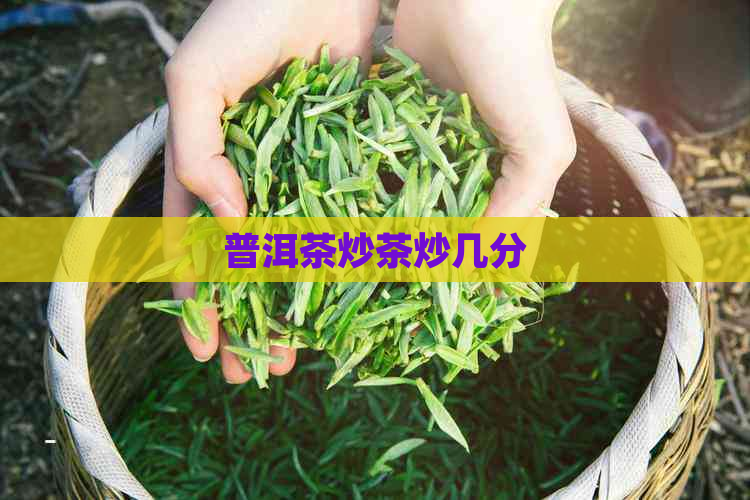 普洱茶炒茶炒几分