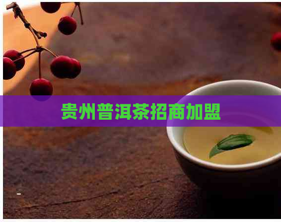 贵州普洱茶招商加盟