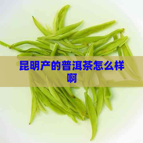 昆明产的普洱茶怎么样啊