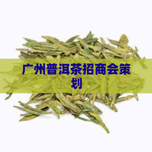 广州普洱茶招商会策划