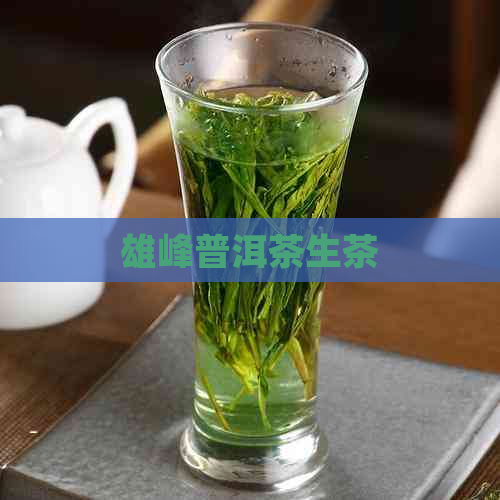 雄峰普洱茶生茶