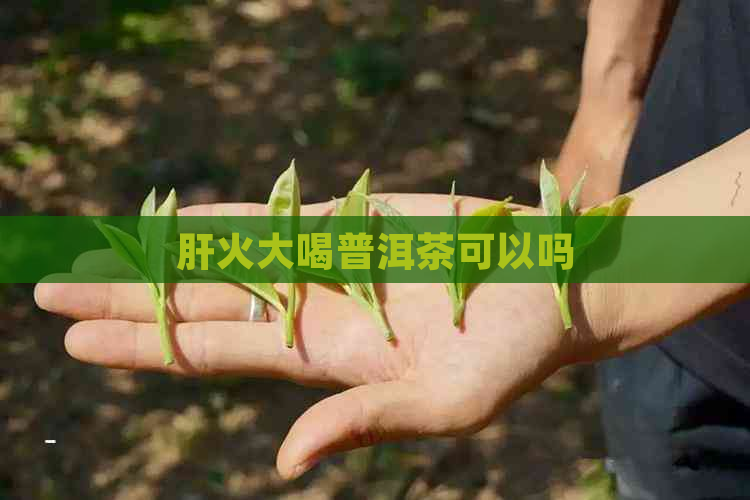 肝火大喝普洱茶可以吗