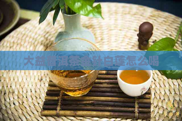 大益普洱茶金针白莲怎么喝