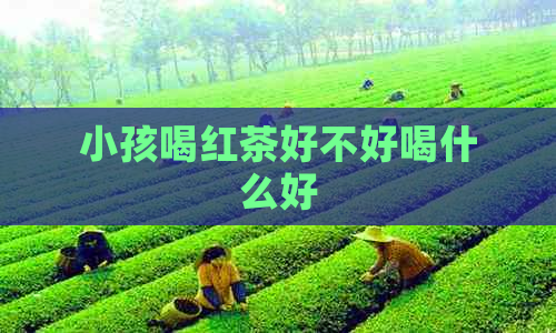 小孩喝红茶好不好喝什么好