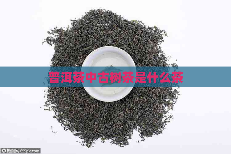 普洱茶中古树茶是什么茶