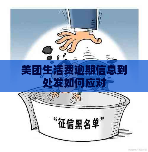 美团生活费逾期信息到处发如何应对