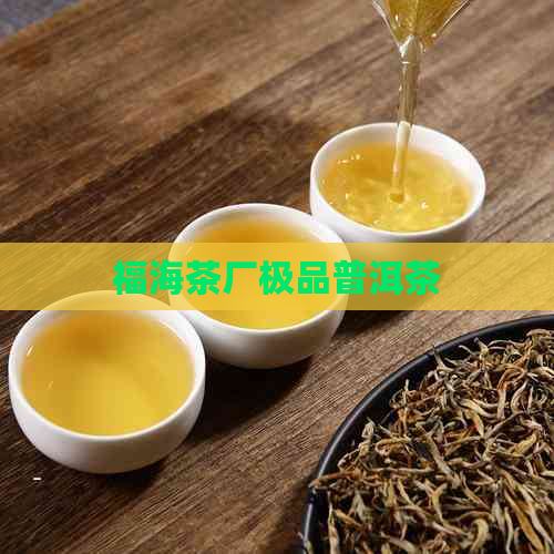 福海茶厂极品普洱茶