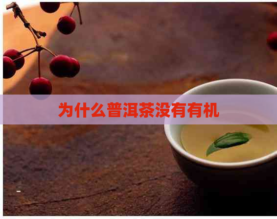 为什么普洱茶没有有机