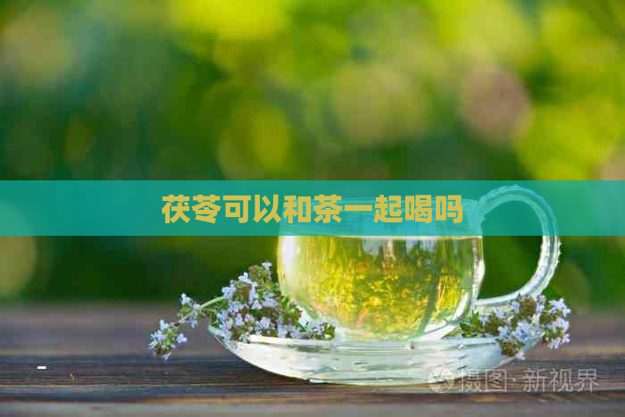 茯苓可以和茶一起喝吗