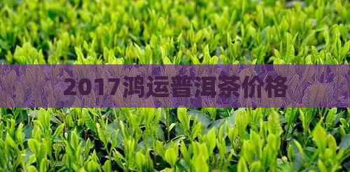 2017鸿运普洱茶价格