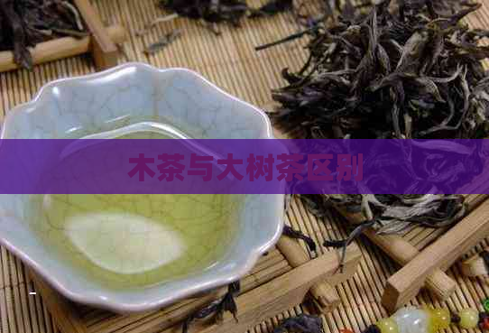 木茶与大树茶区别