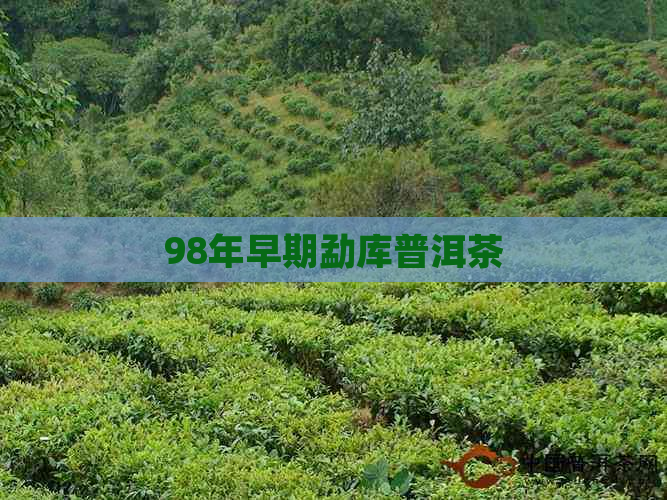 98年早期勐库普洱茶