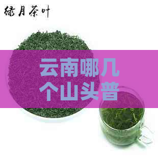 云南哪几个山头普洱茶好