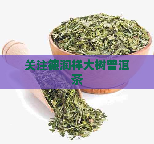 关注德润祥大树普洱茶