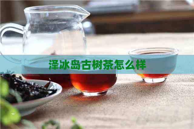 泽冰岛古树茶怎么样