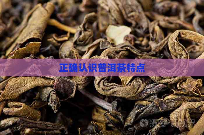 正确认识普洱茶特点