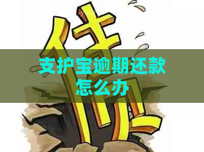 支护宝逾期还款怎么办