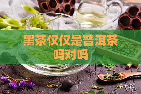 黑茶仅仅是普洱茶吗对吗