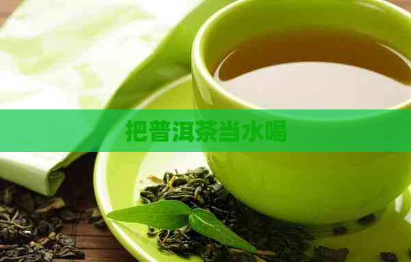 把普洱茶当水喝