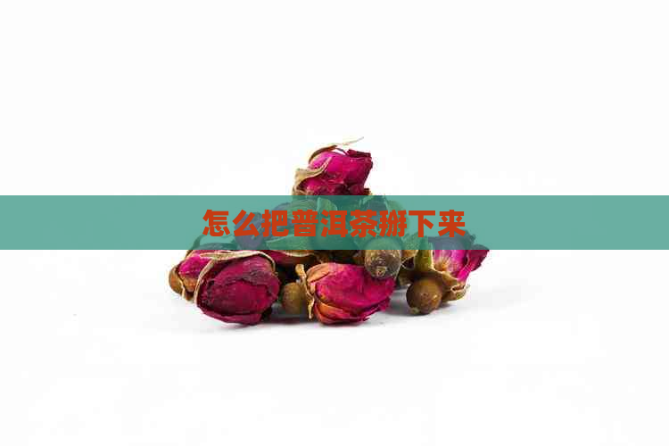 怎么把普洱茶掰下来