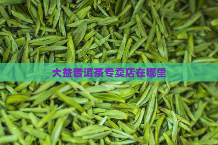 大益普洱茶专卖店在哪里