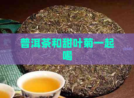 普洱茶和甜叶菊一起喝