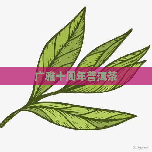 广雅十周年普洱茶