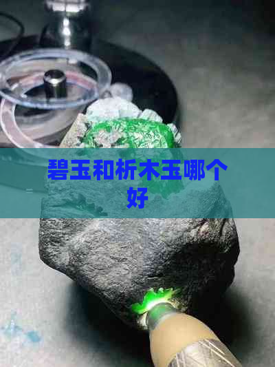 碧玉和析木玉哪个好