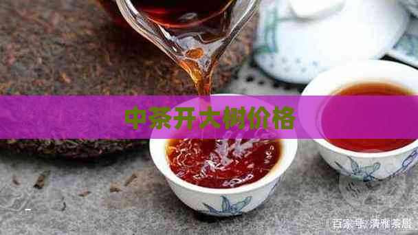 中茶开大树价格