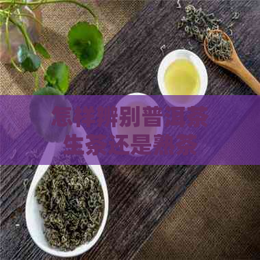 怎样辨别普洱茶生茶还是熟茶