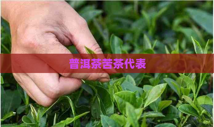 普洱茶苦茶代表