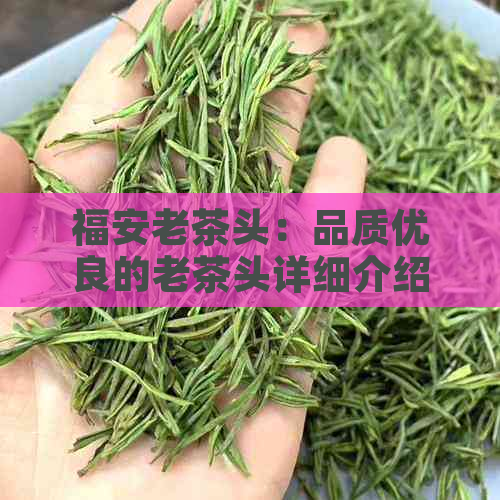 福安老茶头：品质优良的老茶头详细介绍与挑选指南，让你喝出真正的好茶！